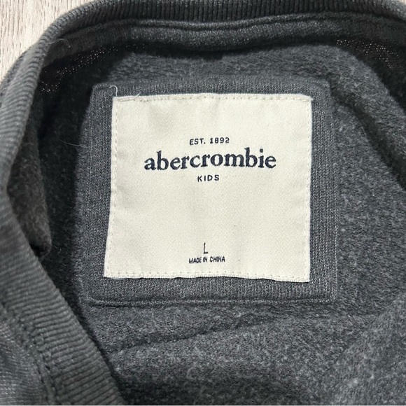 Abercrombie & Fitch Girls’ Gray Logo Crew Neck Pullover Sweatshirt Top Size L - Picture 4 of 7